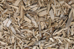 biomass boilers Lower Creedy